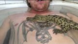 Ta et bad med en krokodille