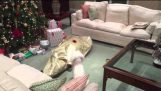 Hund Unwraps ägare till jul