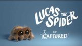 לוקאס העכביש – הוא נשבה