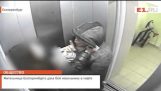 叶卡特琳堡的居民给战斗强奸犯在电梯