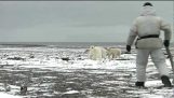Muž čelí lední medvěd