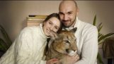 coppia russa ha adottato un puma che vive nel loro appartamento