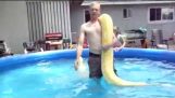 natação da serpente