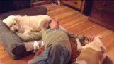 Slapen in de bedden van mijn honden