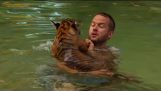 Tiger Cubs Swimming For The First Time – Tigers About The House – BBC