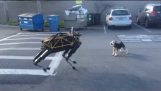 Fido vs helyszínen – állati vs Robot