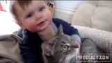 חתול שאוהב תינוקות