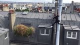 パリのパルクールの屋根