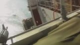 Σομαλοί πειρατές επιτίθενται σε πλοίο