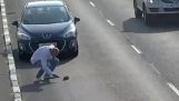 Автомобилист спасает автомагистраль котенка