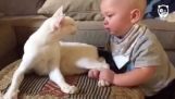 O gato cuida do bebê