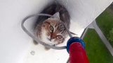 Διάσωση σε ένα γατάκι που κόλλησε σε περβάζι