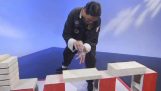 Presentatör förstör demonstration av en Kung Fu-mästare