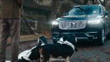 Μια αστεία διαφήμιση της Volvo