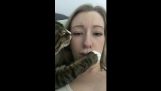那只貓想一些吻