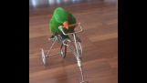 Ένας παπαγάλος κάνει ποδήλατο
