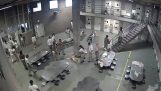 शिकागो में जेल में कैदियों के बीच लड़ाई