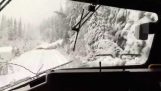 列車は猛吹雪の後に倒木を打ちます
