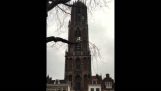 オランダで寺から David Bowie トリビュート