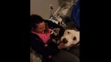 En hund stoler lite på kvinnen som reddet