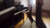 Hunden spiller piano og synger