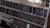 10.000 Çin'de bir tıklama çiftlikte cep telefonları