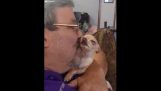 Chihuahua vrea mai multe saruturi