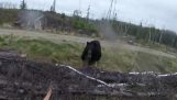 Κυνηγός με τόξο δέχεται επίθεση από αρκούδα