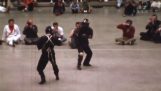 Unikalna wideo prawdziwa walka z Bruce Lee