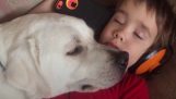 Hund ändert das Leben eines Kindes mit Autismus