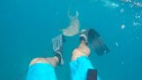 Ψαράς δέχεται επίθεση από καρχαρία