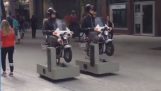 Neue Motorräder der Polizei