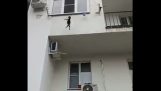 Homem salva de um gato que cai de uma altura grande