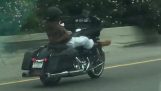 Ένας μοτοσικλετιστής με Harley ταξιδεύει ξαπλωτός