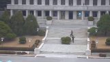 Disertore alla Corea del Nord sta cercando di attraversare il confine