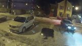 O mașină atrage două inimi în zăpadă