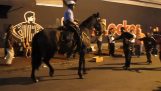 Un polițist dans cu calul său în New Orleans