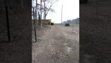 Ένας κόκορας τρέχει να υποδεχτεί τη φίλη του