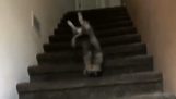 Accident sur l'escalier