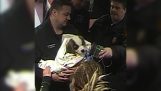 Cops salvar um filhote de cachorro de afogamento