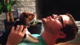 Wycie małego Beagle