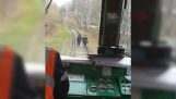 Поїзд лякають дві дівчини ходити по рейках