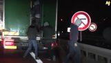 Μετανάστες επιχειρούν να μπουν σε φορτηγό που μετέφερε μια πολική αρκούδα