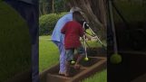 Lille dreng hjælpe en bedstemor til at forcere trapper