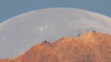 Månen passerar bakom vulkanen Teide