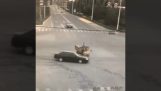 三輪車との奇妙な事故 (中国)