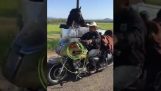 How to transfer a horse with a motorcycle