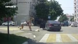 在道路上的两个女人吵架幕 (俄罗斯)