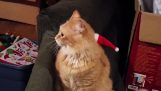 Kissa hat Joulupukki