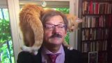 El gato un académico se roba el show durante una entrevista